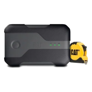 CAT Q10